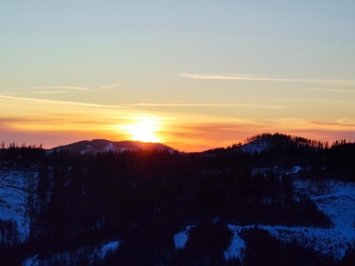 Apartment Brockenblick Mit Tollen Blick Und Schwimmbad Braunlage Dış mekan fotoğraf
