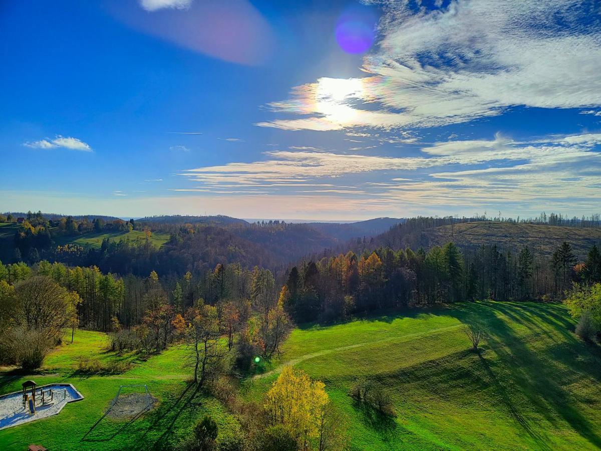 Apartment Brockenblick Mit Tollen Blick Und Schwimmbad Braunlage Dış mekan fotoğraf